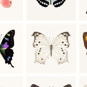 Meet your Posher, Daria